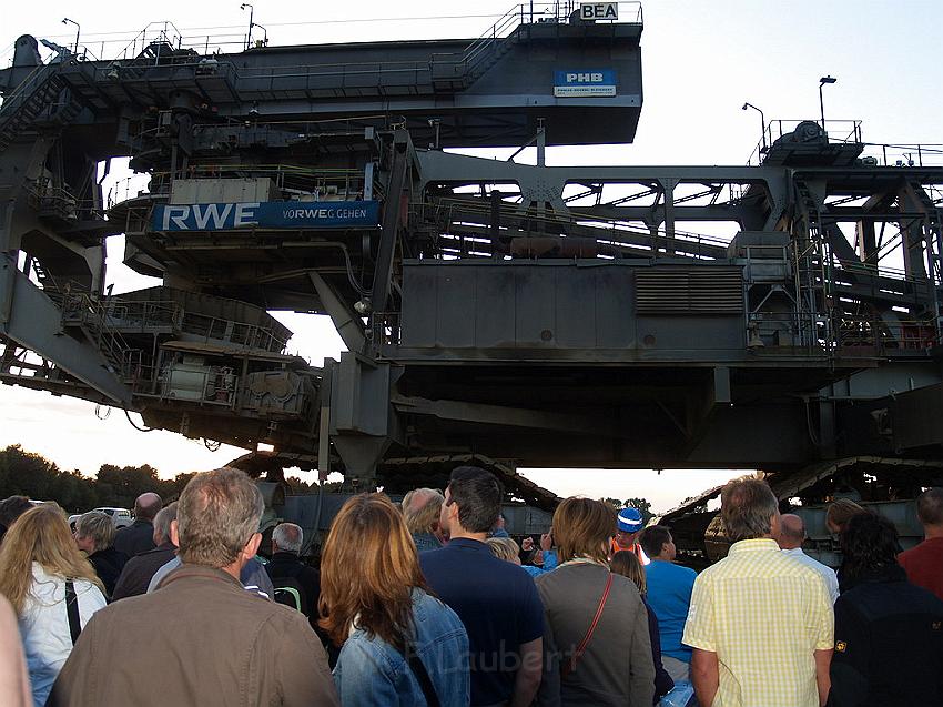 Bagger auf Reisen P248.JPG